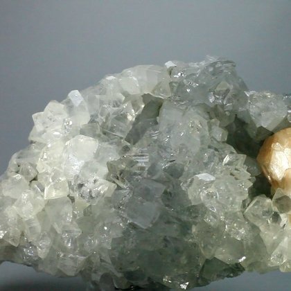 BEAUTIFUL Apophyllite Crystal Cluster ~13.5cm
