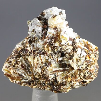 Astrophyllite Healing Mineral ~30mm