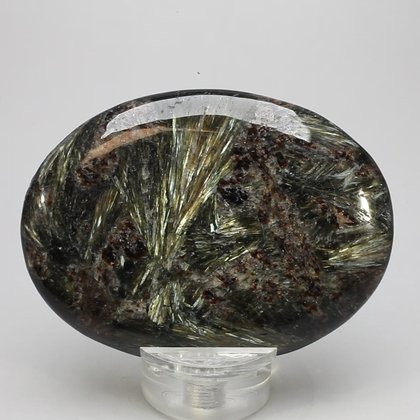 Astrophyllite Palmstone (Extra Grade) ~70x50mm