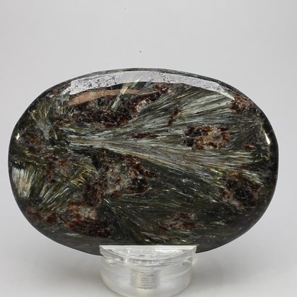 Astrophyllite Palmstone (Extra Grade) ~70x50mm