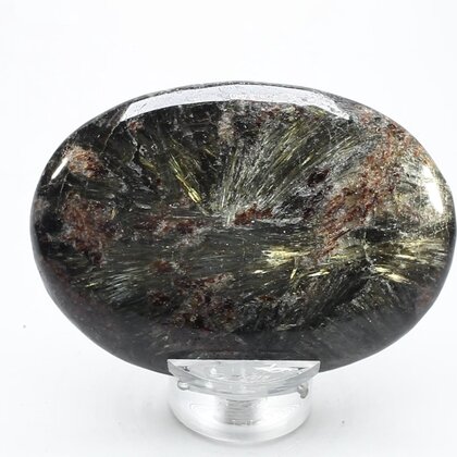 Astrophyllite Palmstone (Extra Grade) ~70x50mm