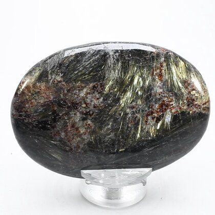 Astrophyllite Palmstone (Extra Grade) ~70x50mm