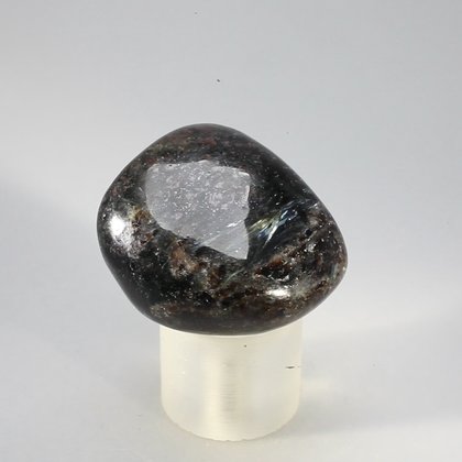 Astrophyllite Tumblestone  ~32mm