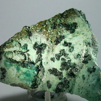 RARE Atacamite Mineral Specimen ~100mm