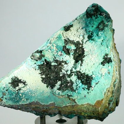RARE Atacamite Mineral Specimen ~116 x 85mm