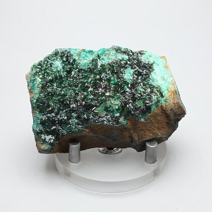 RARE Atacamite Mineral Specimen ~63mm