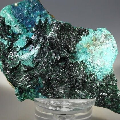Atacamite Mineral Specimen ~70mm
