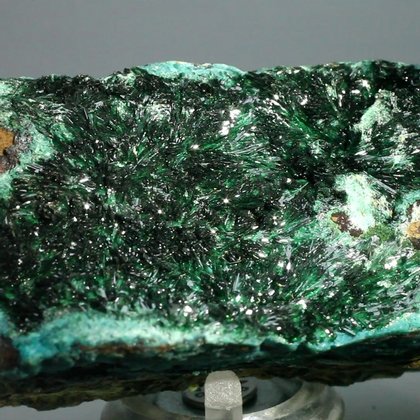 Atacamite Mineral Specimen ~77mm