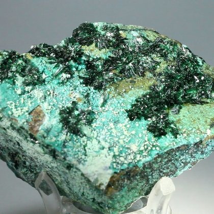 Atacamite Mineral Specimen ~77mm
