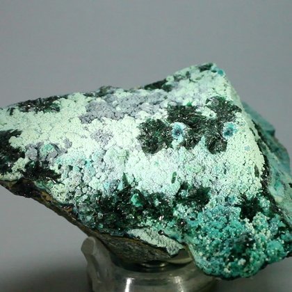 RARE Atacamite Mineral Specimen ~77mm