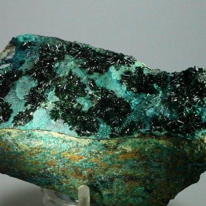 RARE Atacamite Mineral Specimen ~97mm