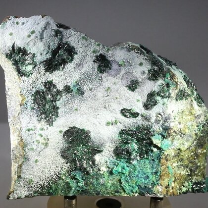 Atacamite with rare Halloysite & Libethenite Mineral Specimen ~98mm