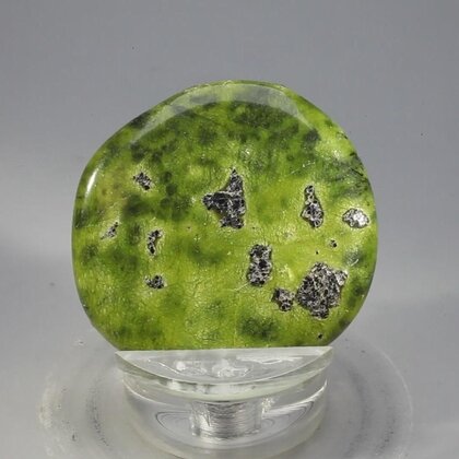 Atlantisite Flat Tumblestone ~37mm