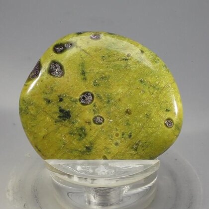 Atlantisite Flat Tumblestone ~37mm