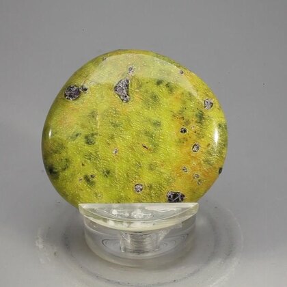 Atlantisite Flat Tumblestone ~39mm