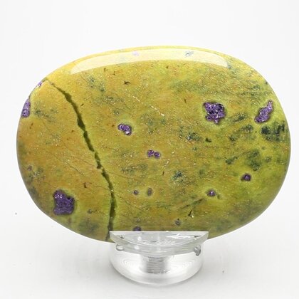 Atlantisite Palmstone (Extra Grade) ~70x50mm