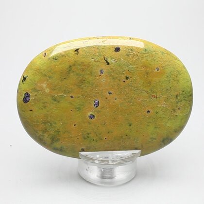 Atlantisite Palmstone (Extra Grade) ~70x50mm