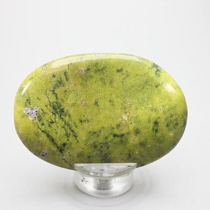 Atlantisite Palmstone (Extra Grade) ~70x50mm