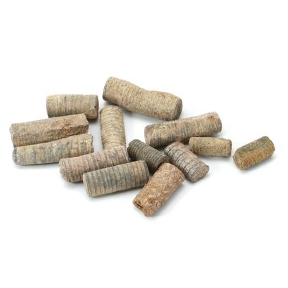 Bag of Crinoid Stems - 20g Bag