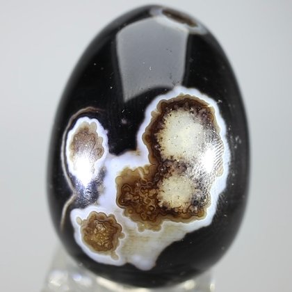 Black Banded Onyx Egg  ~48mm