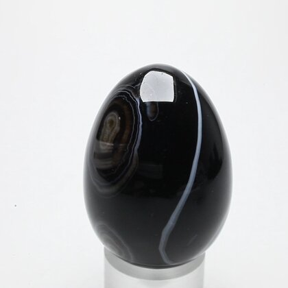 Black Banded Onyx Egg  ~48mm