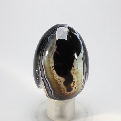 Black Banded Onyx Egg  ~50mm