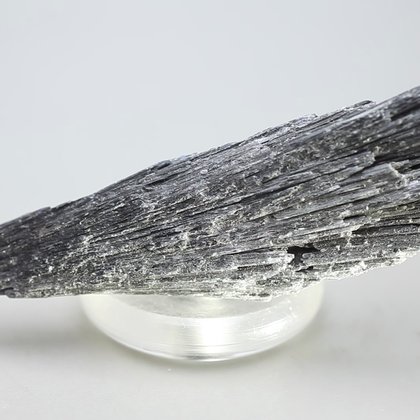 Black Kyanite Healing Crystal ~100mm