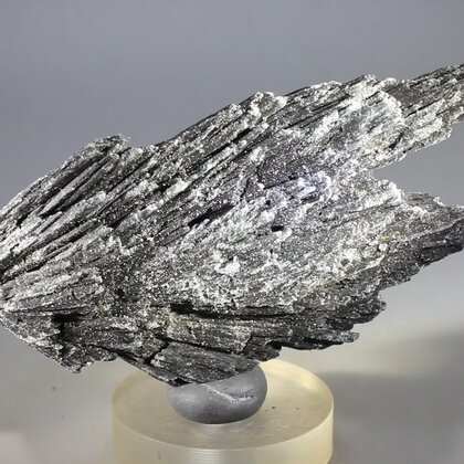 Black Kyanite Healing Crystal ~100mm