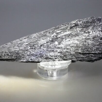 Black Kyanite Healing Crystal ~115mm