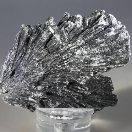 Black Kyanite Healing Crystal ~62mm