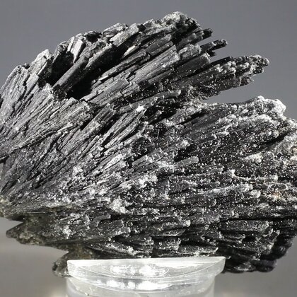 Black Kyanite Healing Crystal ~65mm