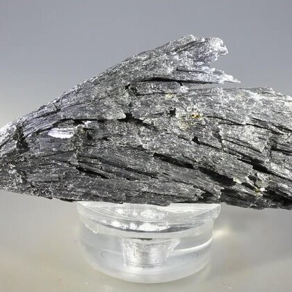 Black Kyanite Healing Crystal ~80mm