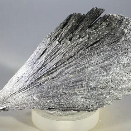 Black Kyanite Healing Crystal ~85mm