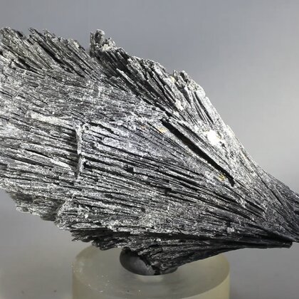 Black Kyanite Healing Crystal ~85mm