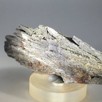 Black Kyanite Healing Crystal ~85mm