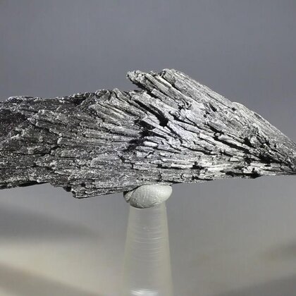 Black Kyanite Healing Crystal ~90mm