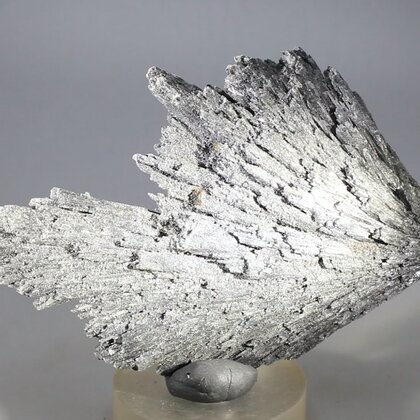 Black Kyanite Healing Crystal ~90mm