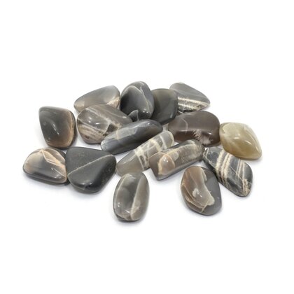 Black Moonstone Tumble Stone (15-20mm)