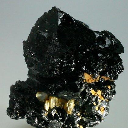Black Tourmaline Complex Healing Mineral Specimen ~64mm