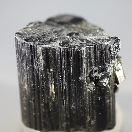 Black Tourmaline Crystal (Special Grade) ~50mm