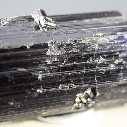 Black Tourmaline Crystal (Special Grade) ~55mm