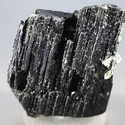 Black Tourmaline Crystal (Special Grade) ~65mm