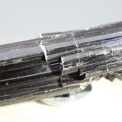 Black Tourmaline Crystal (Special Grade) ~70mm