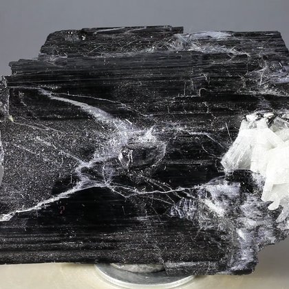 Black Tourmaline with Cleavelandite Mineral Specimen ~80mm