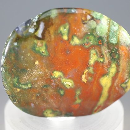 Bloodstone Polished Stone ~38mm