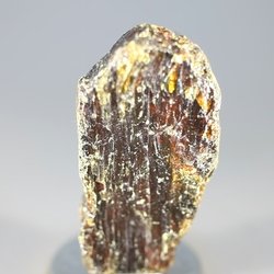 Baltic Amber Healing Crystal