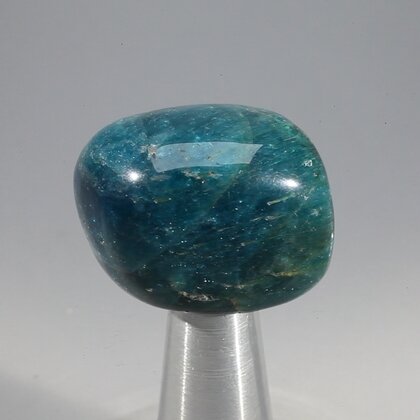 Blue Apatite Tumblestone  ~24mm