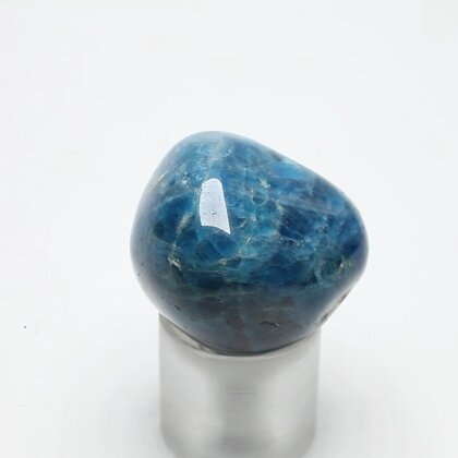 Blue Apatite Tumblestone  ~27mm