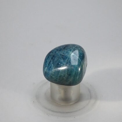Blue Apatite Tumblestone  ~30mm