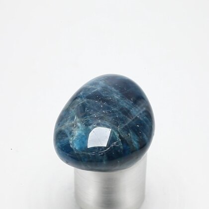 Blue Apatite Tumblestone  ~32mm